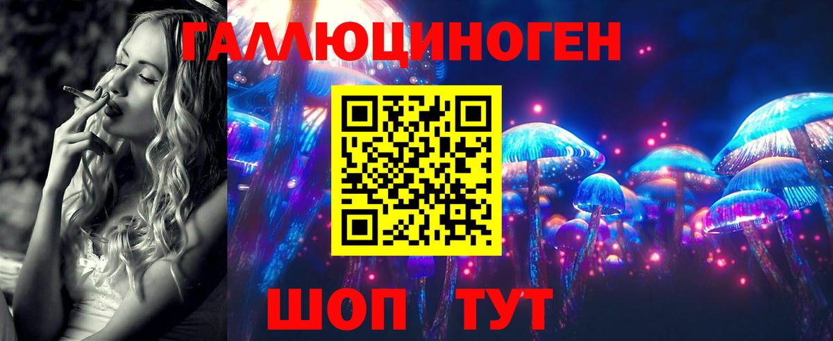 Канаш  Псилоцибиновые грибы Cubensis  Вход с VPN 