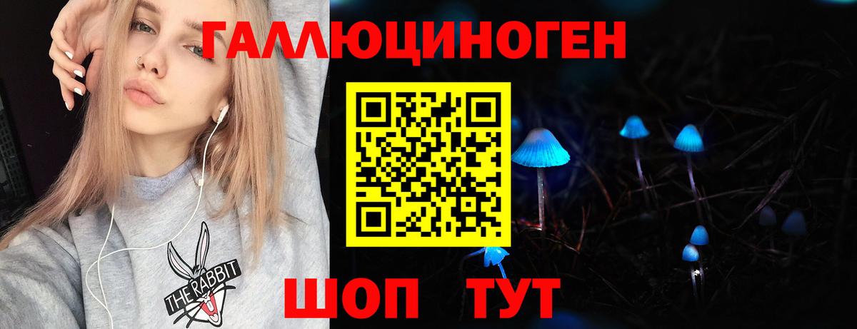 Псилоцибиновые грибы Psilocybe Канаш